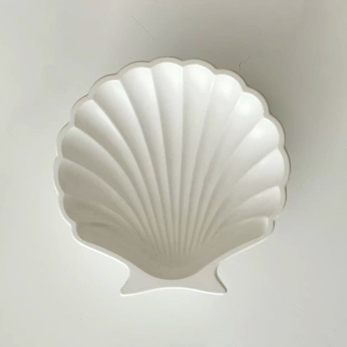 Shell Jewellery Tray
